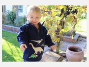 2020-10-24 10.54.37-1