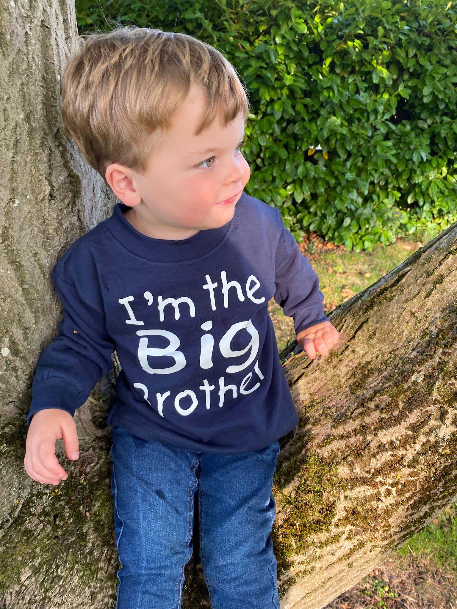 Im the big Brother Sweatshirt